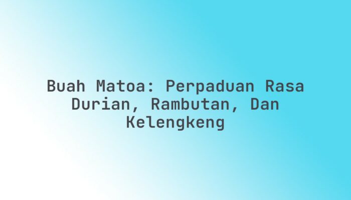 Buah Matoa: Perpaduan Rasa Durian, Rambutan, dan Kelengkeng