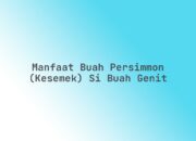 Manfaat Buah Persimmon (Kesemek) si Buah Genit