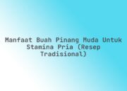 Manfaat Buah Pinang Muda untuk Stamina Pria (Resep Tradisional)