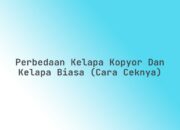 Perbedaan Kelapa Kopyor dan Kelapa Biasa (Cara Ceknya)